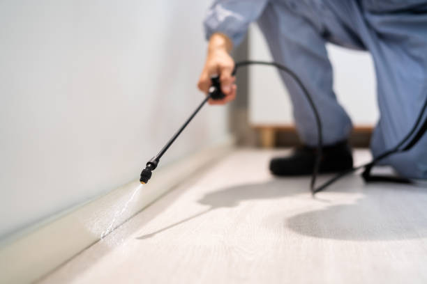 Licensed Bed Bug Control service in Roosevelt, NJ - Nex Pest Control