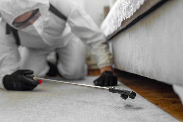 Professional Bed Bug Control technician working in Roosevelt, NJ