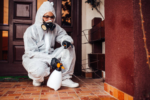 Reliable Bed Bug Control contractor in Roosevelt, NJ by Nex Pest Control